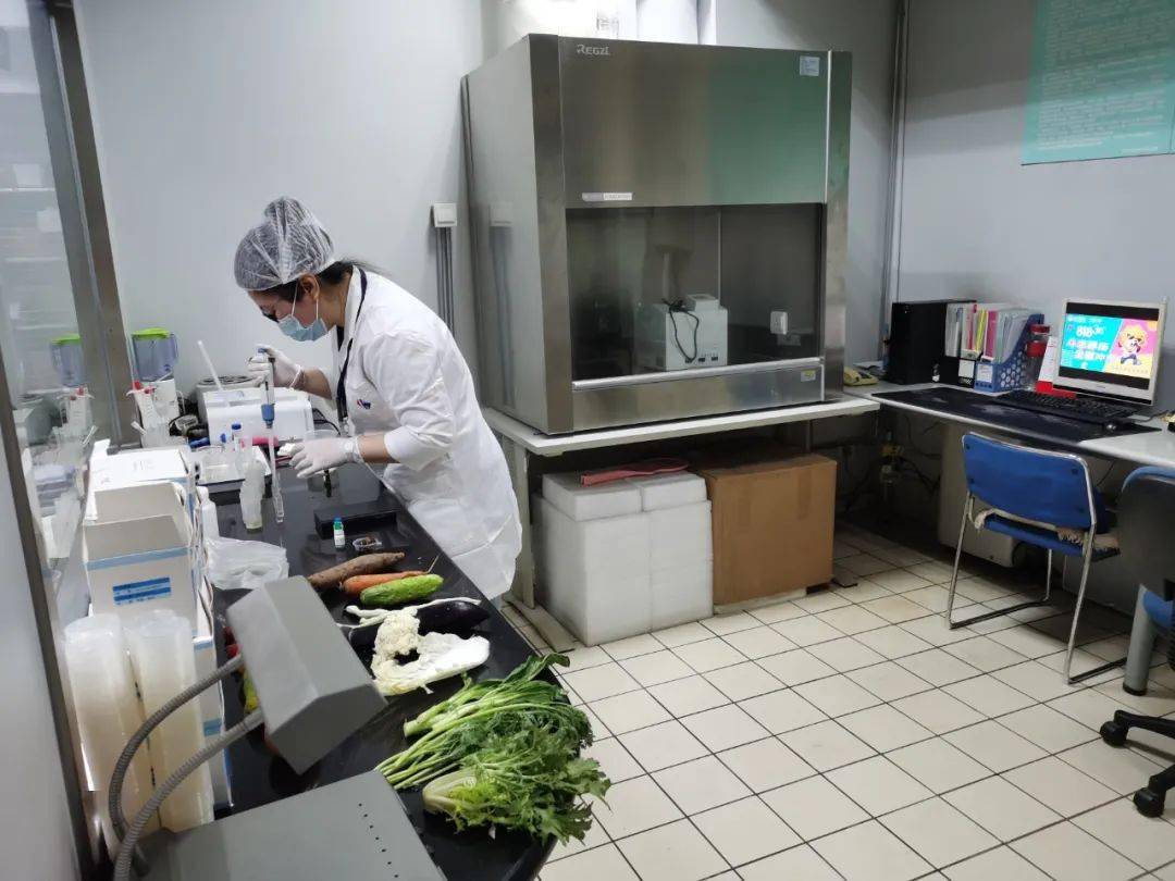 黑水食品检测实验室装修方案